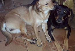 Faisca e Fumaça