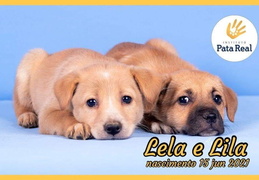 Lela e Lila