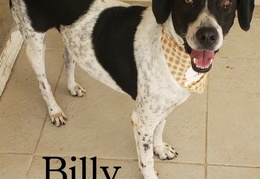 Billy