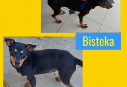 Bisteka