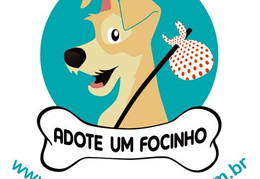 ADOTE UM FOCINHO - COTIA/SP