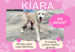 Kiara