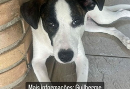 WhatsApp Image 2024-02-21 at 08.43.26