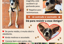 Screenshot 20240411-105608