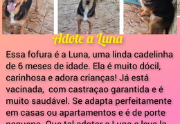 InCollage 20231229 192222529