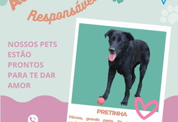 Post para instagram - PRETINHA