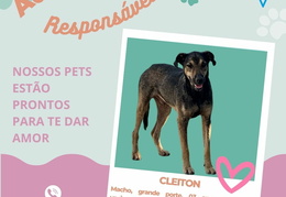 Post para instagram - CLEITON