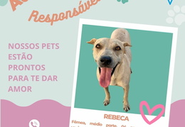 Post para instagram - REBECA