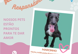 Post para instagram - MARCINHO jpg