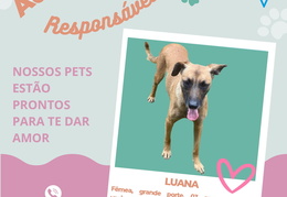 Post para instagram - LUANA jpg