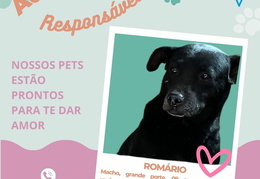 Post para instagram ROMÁRIO