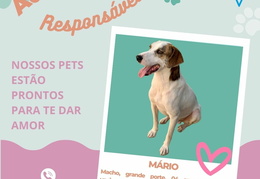 Post para instagram - MÁRIO