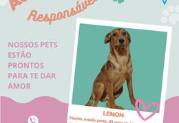 Post para instagram - LENON jpg