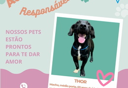 Post para instagram - THOR