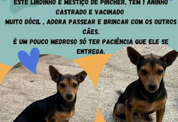 FB IMG 1719272174740