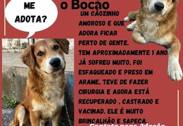 FB IMG 1719272184116