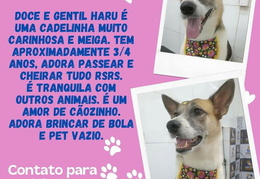 FB IMG 1719272197851