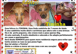 Tininha