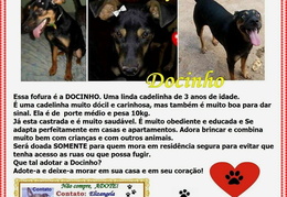 Docinho