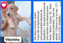Vitorinha 
