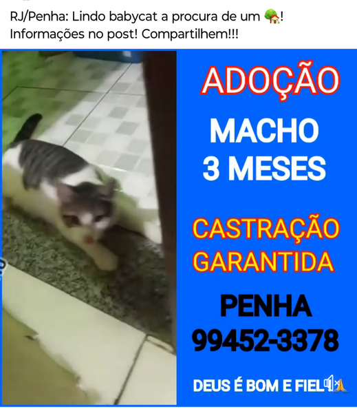 Screenshot_20240720-232340.png