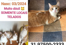 Luizinho