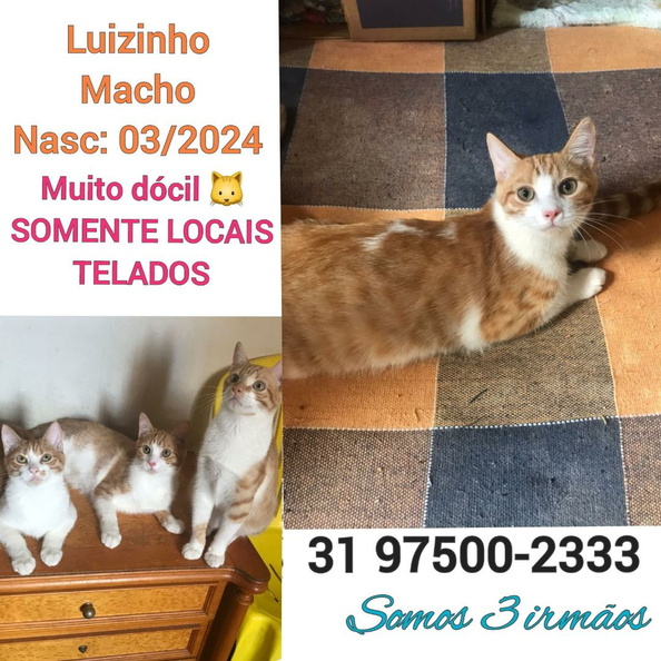 Luizinho.jpeg