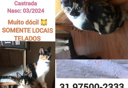 Paty