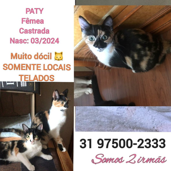 Paty.jpeg