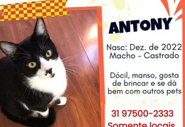 Antony