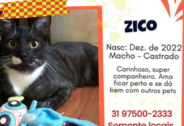 Zico