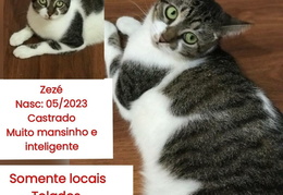 Zezé
