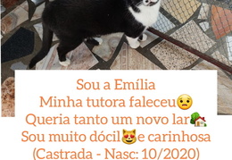 Emília