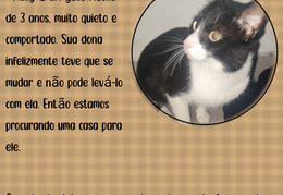 Molly