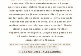 Canjica