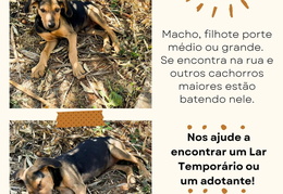 151696791c6c43a28d9dd0e5d86b6abf