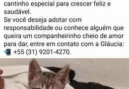 541231201 818358304190815 3746482222563201980 n