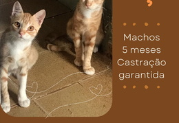 43b80738507b4faeb1833401e35c43bb