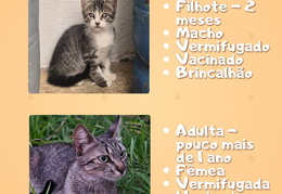 WhatsApp Image 2025-12-04 at 13.16.41