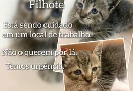 WhatsApp Image 2025-12-10 at 13.57.26