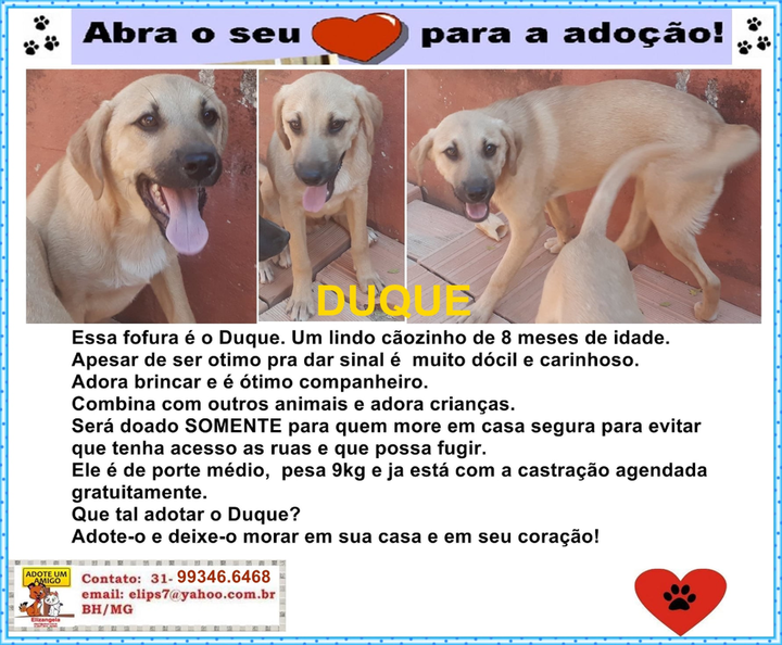 Duque.png